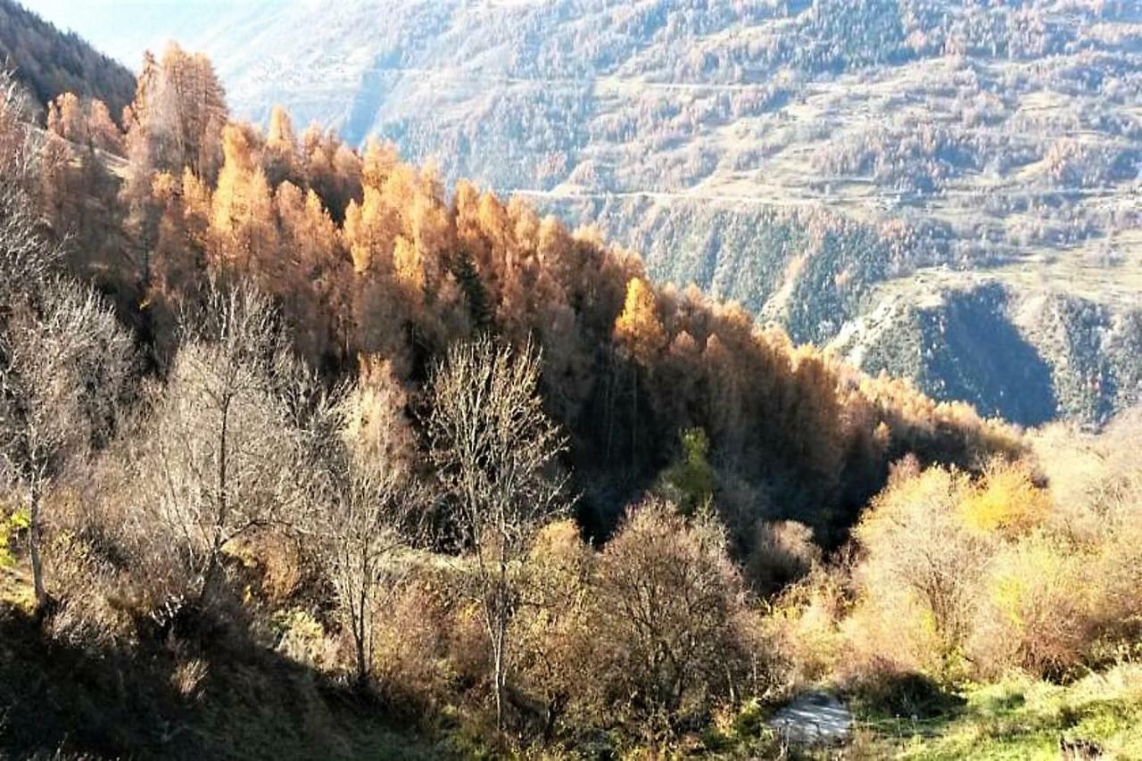 La Chaumiere D'Herens Vernamiege ภายนอก รูปภาพ